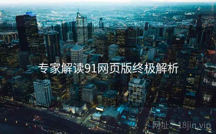 专家解读91网页版终极解析