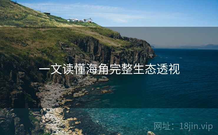 一文读懂海角完整生态透视