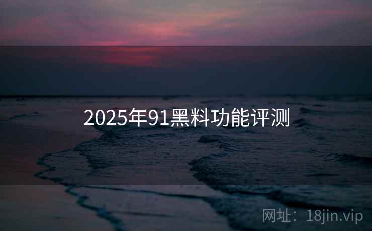 2025年91黑料功能评测