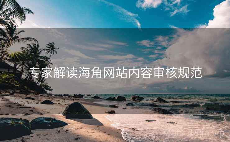 专家解读海角网站内容审核规范