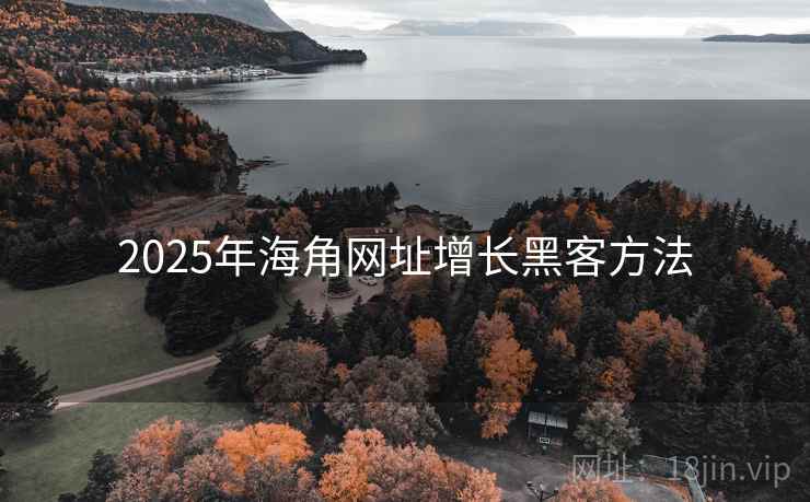 2025年海角网址增长黑客方法